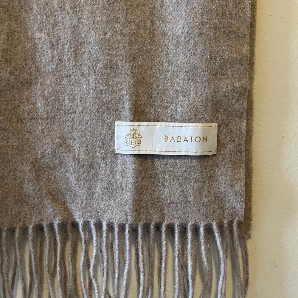 Aritzia Babaton 100% Cashmere Rectangle With Twisted Fringe Edges Scarf - Picture 5 of 6